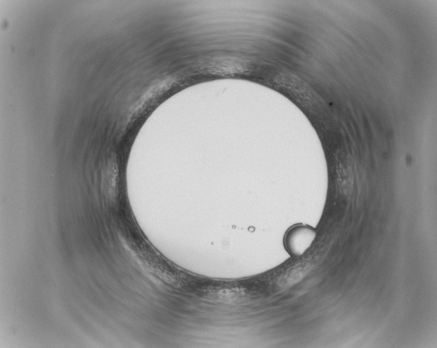 X0000057080304200510071852