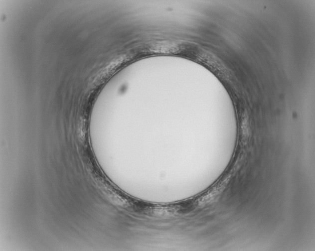 X0000057080305200510071852