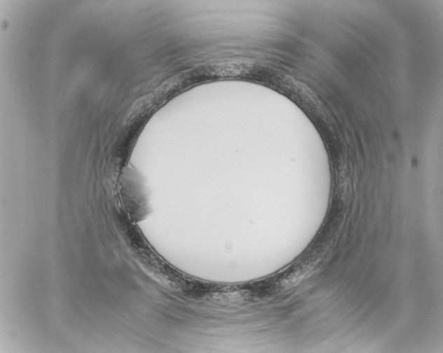 X0000057080307200510071852