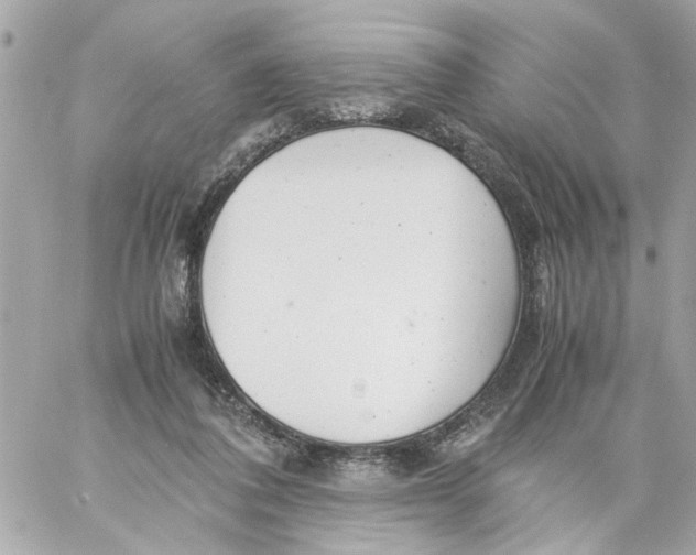 X0000057080308200510071852