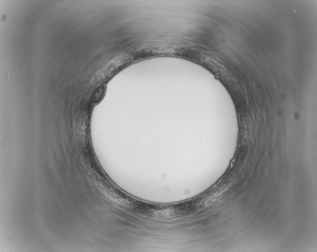 X0000057080309200510071852