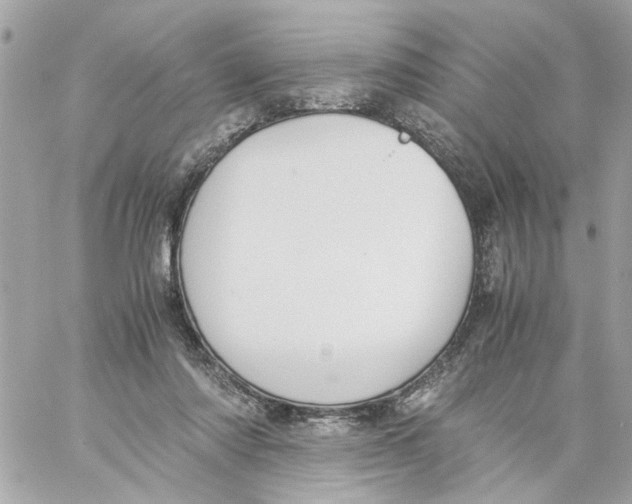 X0000057080310200510071852