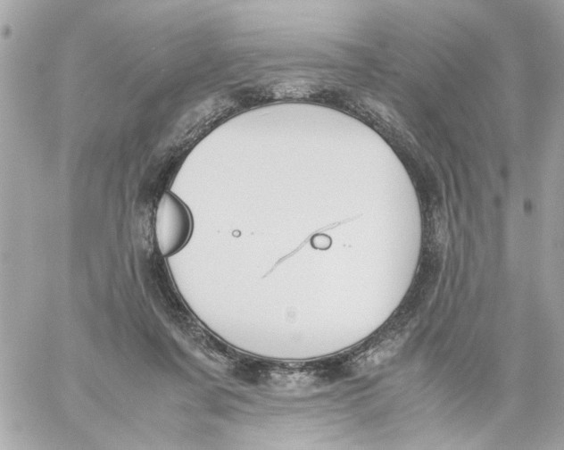 X0000057080311200510071852