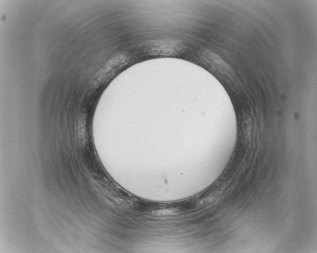 X0000057080312200510071852