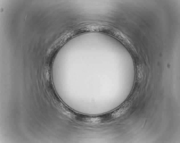 X0000057080313200510071852