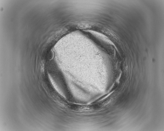 X0000057080315200510071852