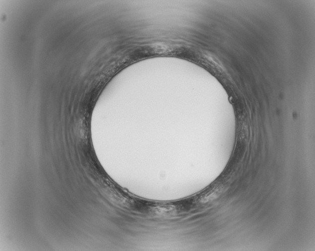 X0000057080317200510071852