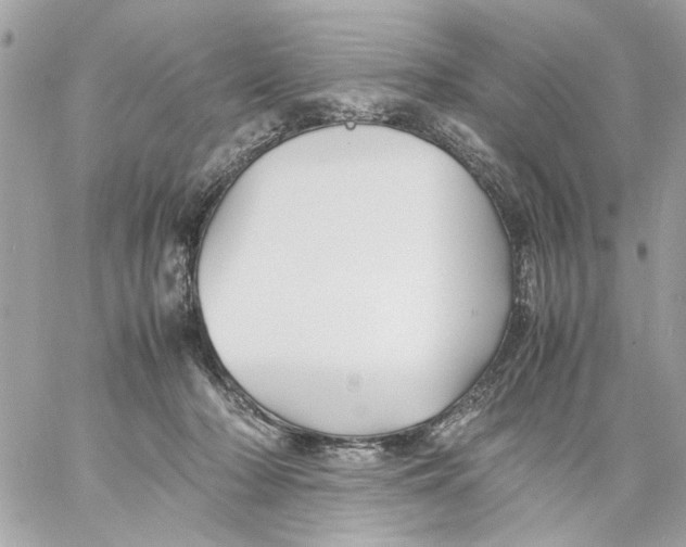 X0000057080318200510071852