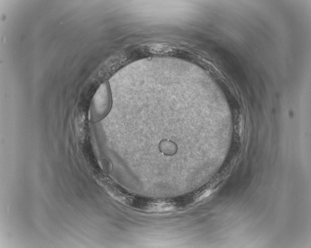 X0000057080319200510071852