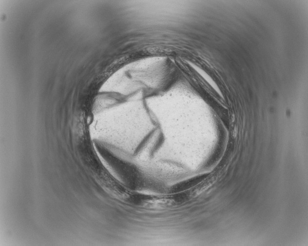 X0000057080323200510071852