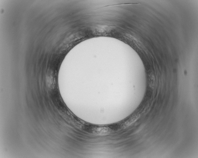 X0000057080324200510071852