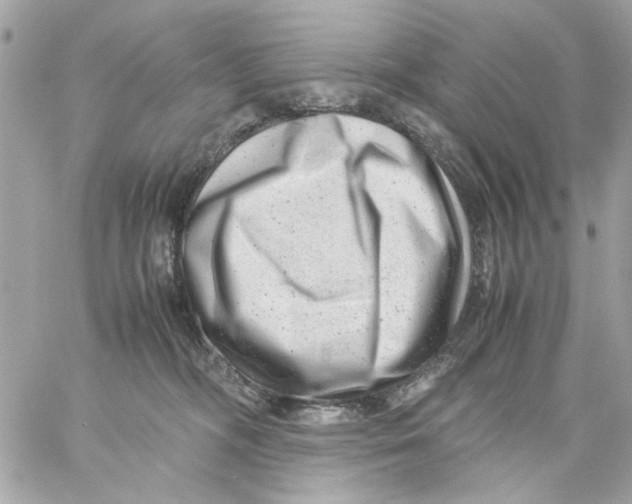 X0000057080326200510071852