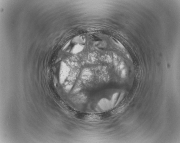 X0000057080327200510071852