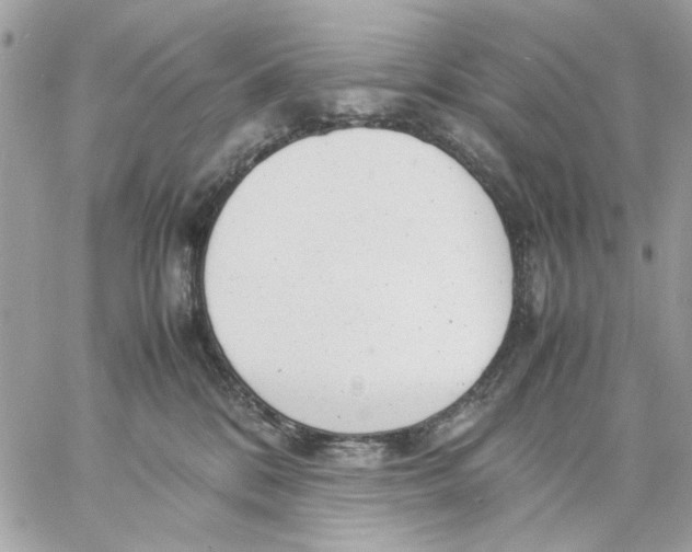 X0000057080328200510071852