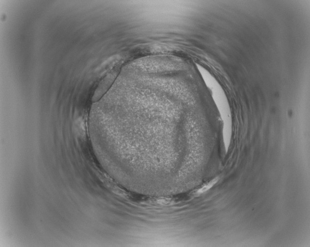 X0000057080329200510071852