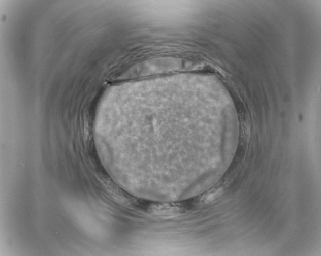 X0000057080331200510071852