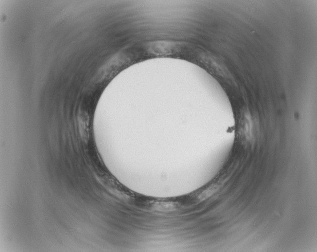 X0000057080332200510071852