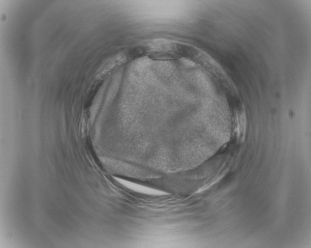 X0000057080333200510071852