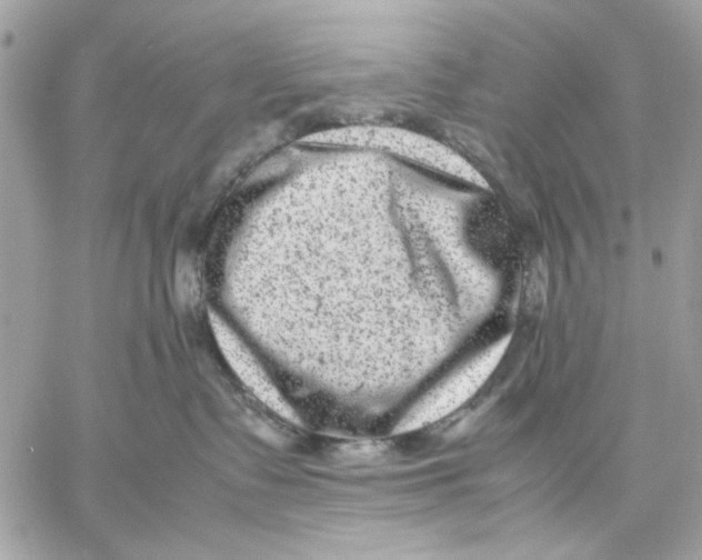 X0000057080335200510071851