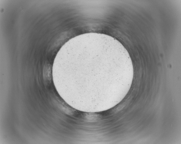 X0000057080336200510071851