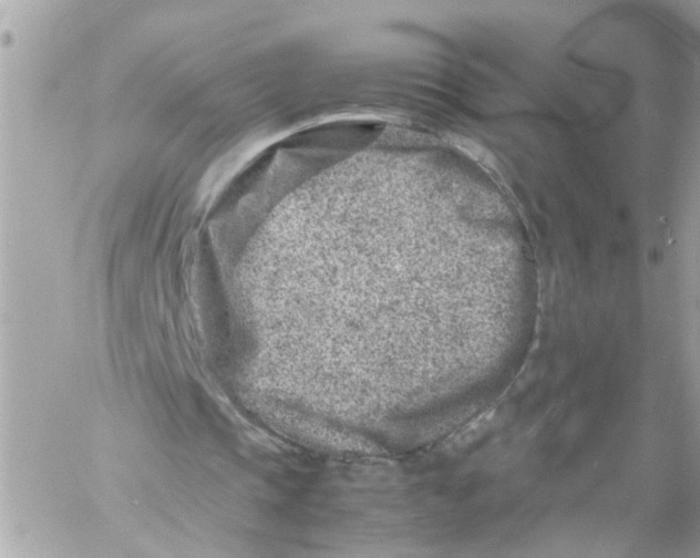 X0000057080337200510071851