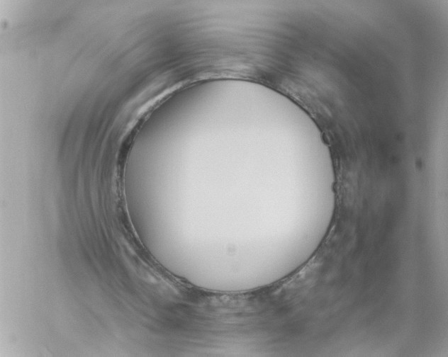 X0000057080338200510071851