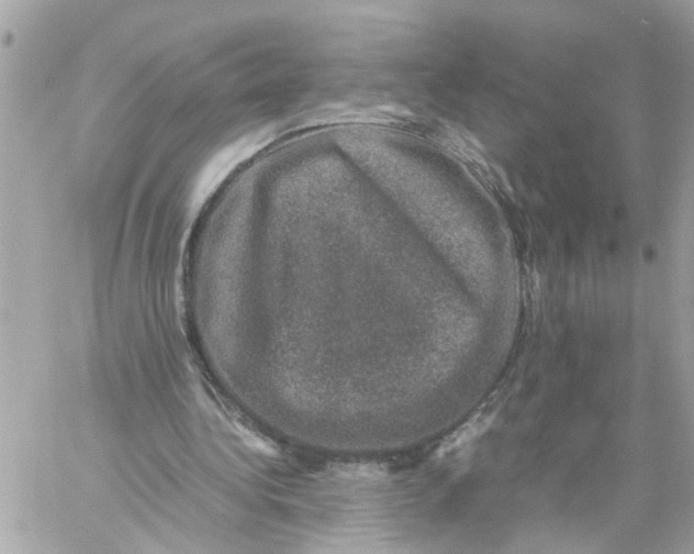 X0000057080340200510071851