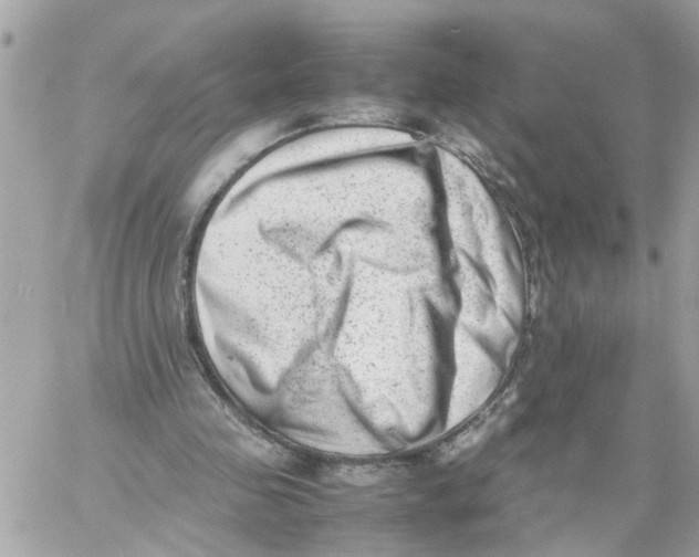 X0000057080341200510071851