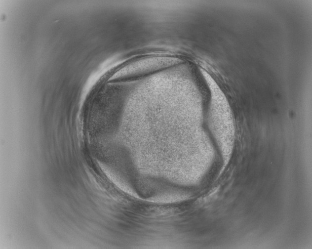 X0000057080343200510071851