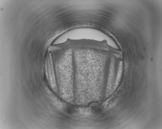 X0000057080345200510071851