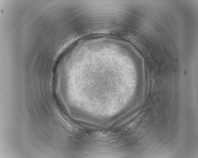 X0000057080346200510071851