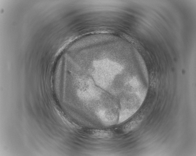 X0000057080347200510071851