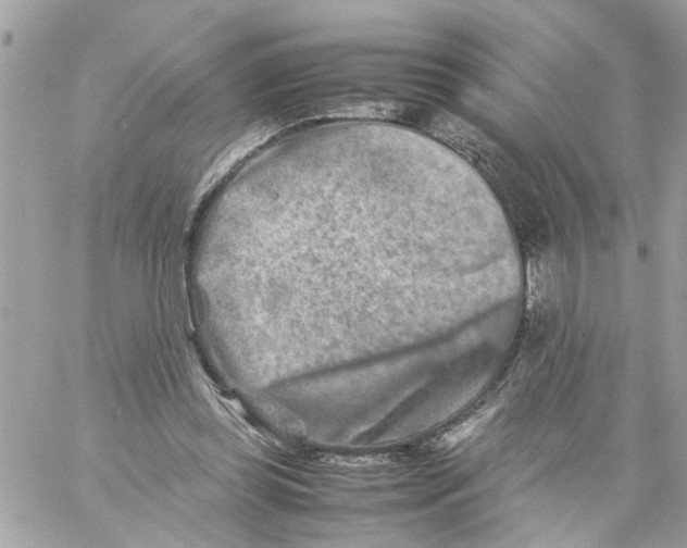 X0000057080349200510071851