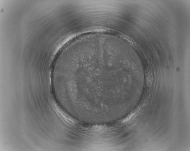 X0000057080350200510071851