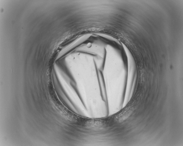 X0000057080354200510071851