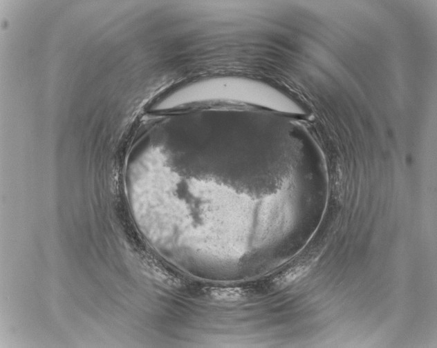 X0000057080355200510071851