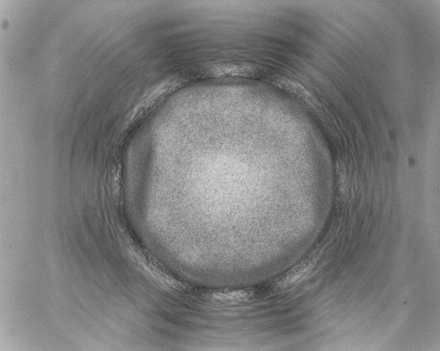 X0000057080357200510071851