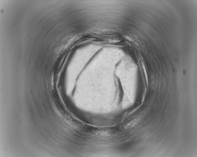 X0000057080358200510071851