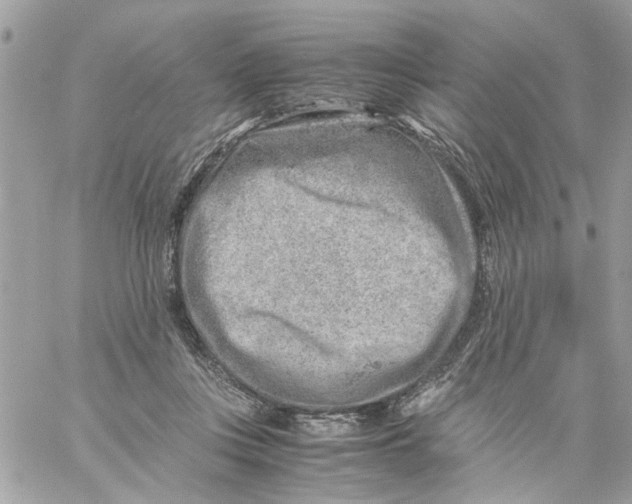 X0000057080359200510071851