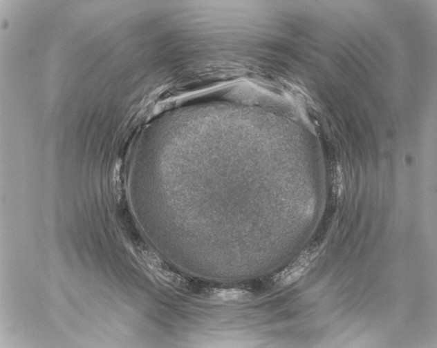 X0000057080360200510071851