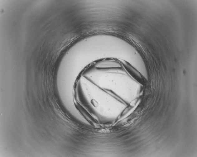 X0000057080362200510071851