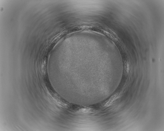 X0000057080364200510071851