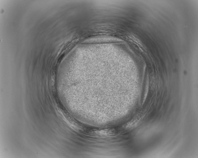 X0000057080365200510071851