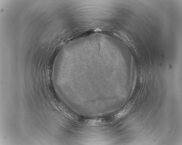 X0000057080366200510071851