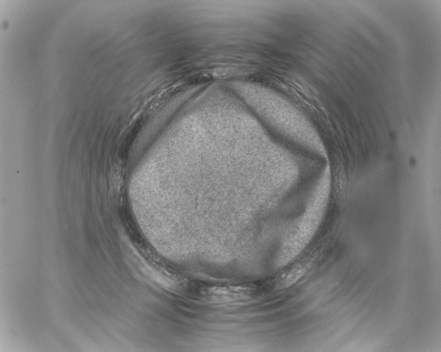 X0000057080367200510071851