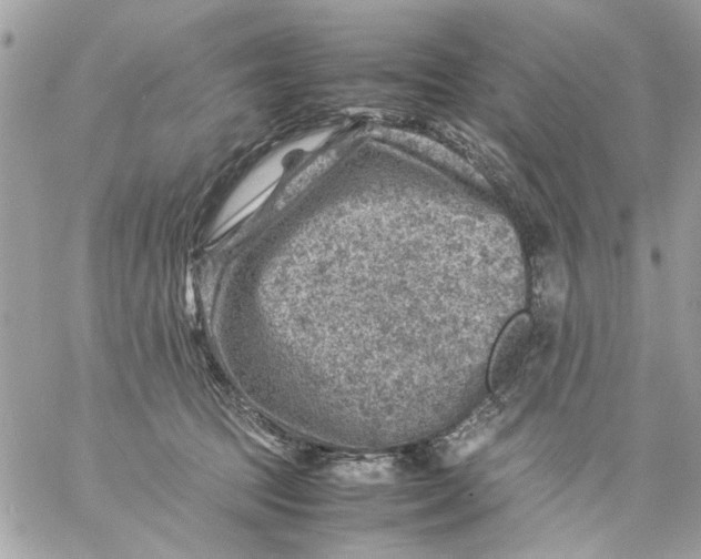 X0000057080369200510071851