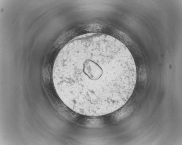 X0000057080370200510071851