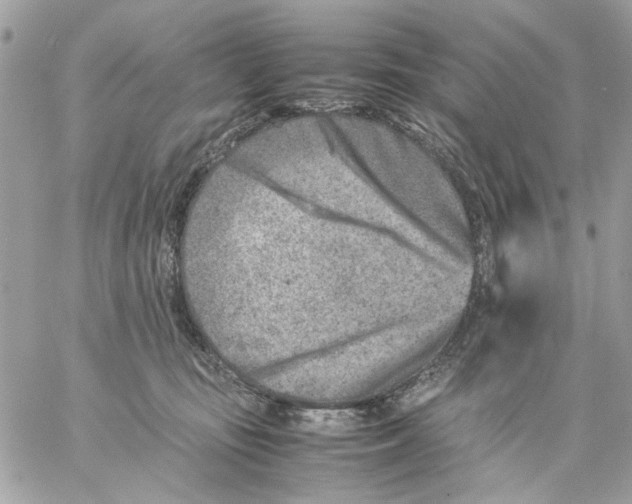 X0000057080371200510071851