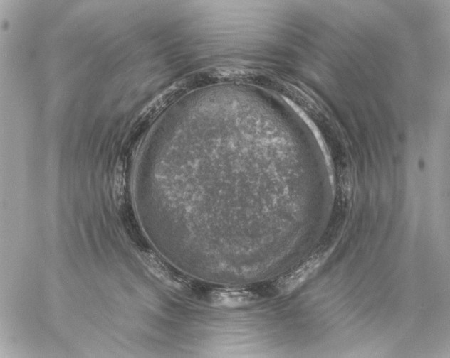 X0000057080372200510071851