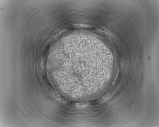 X0000057080373200510071851